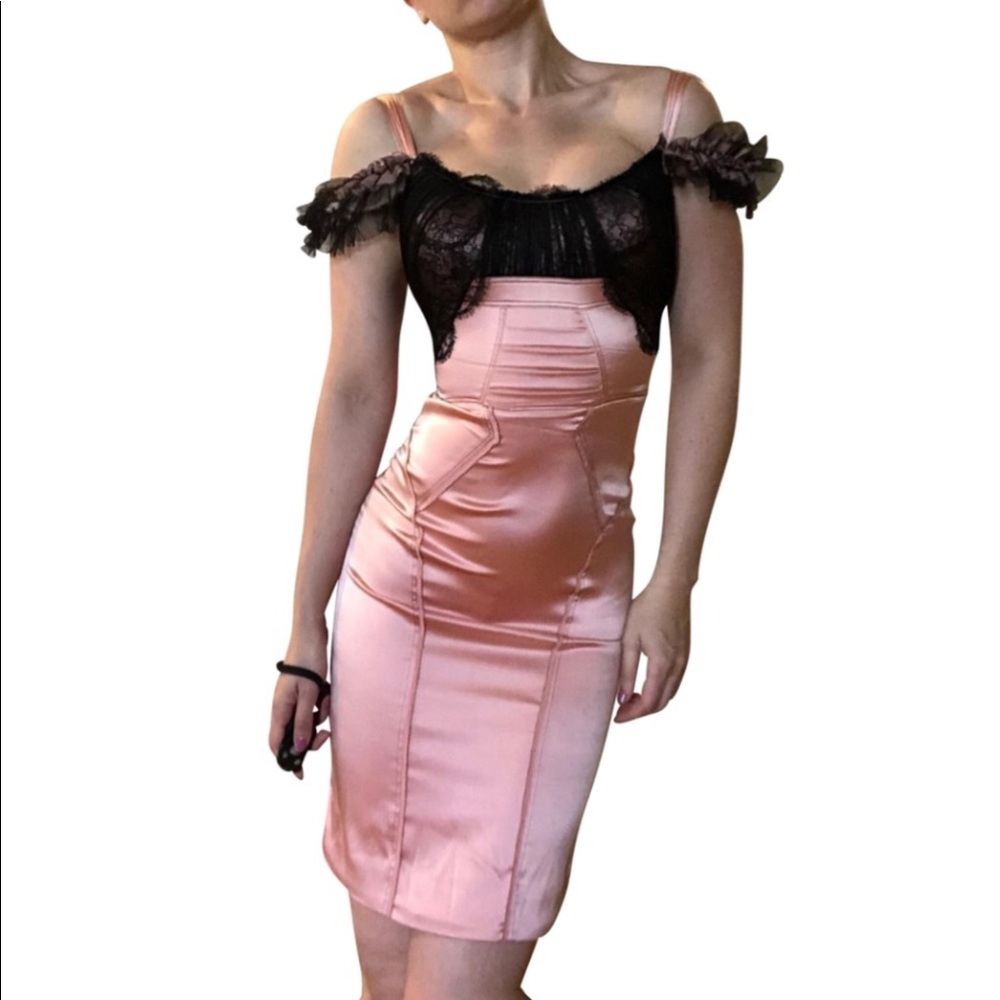 Zac Posen Pink “Adagio” Silk Lace Corset Dress 6 4